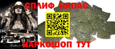 spice Кинель